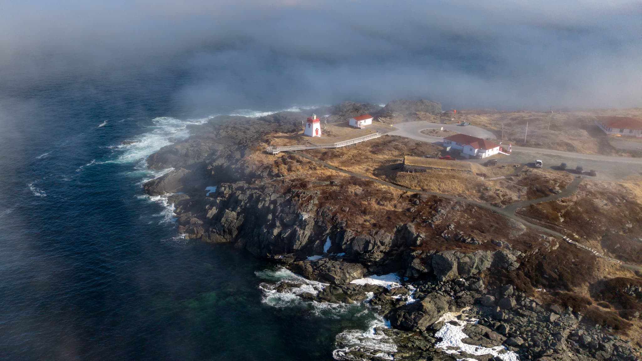 Penguins in Antarctica